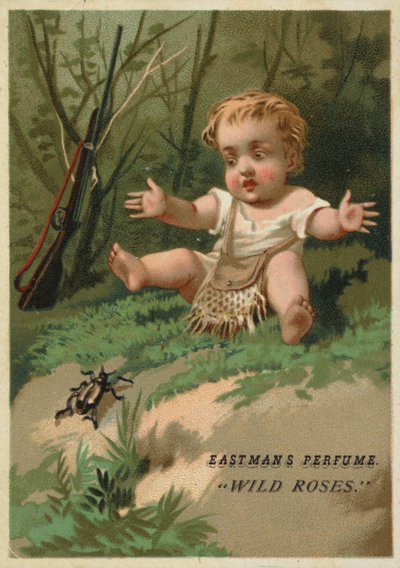 Bebê na floresta de American School