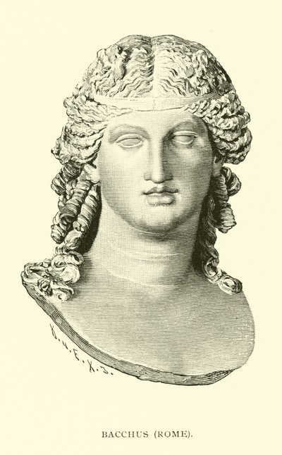 Bacchus, Roma de American School