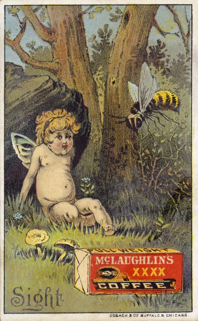 Abelha atacando putto de American School