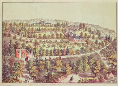 Visão panorâmica de Mount Vernon, 1859 de American School