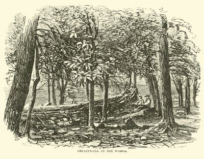 Trabalho de peito na floresta, julho de 1863 de American School