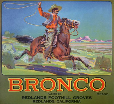 Bronco Oranges