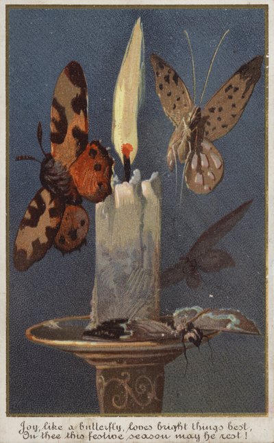 Borboletas ao redor de uma vela acesa de American School