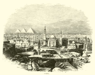 Cairo de American School