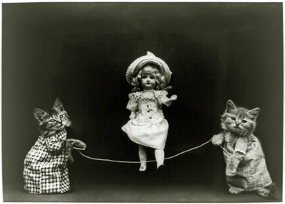 Curiosidade do gato, 1891 de American School