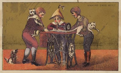 Caudas de gatos sendo costuradas juntas de American School