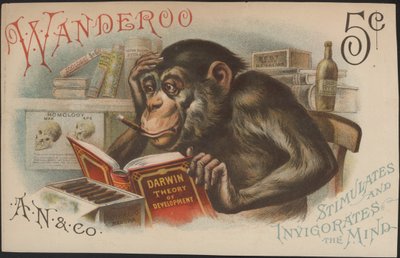 Charles Darwin, teoria do desenvolvimento (ou seja, evolução) de American School