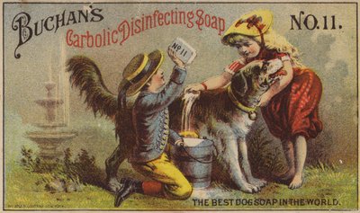 Crianças, lavando cachorro de American School