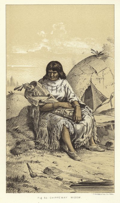 Viúva Chippeway de American School