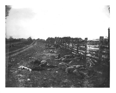 Confederado Morto ao longo do lado oeste de Hagerstown Pike, Batalha de Antietam, 19 de setembro de 1862 de American School