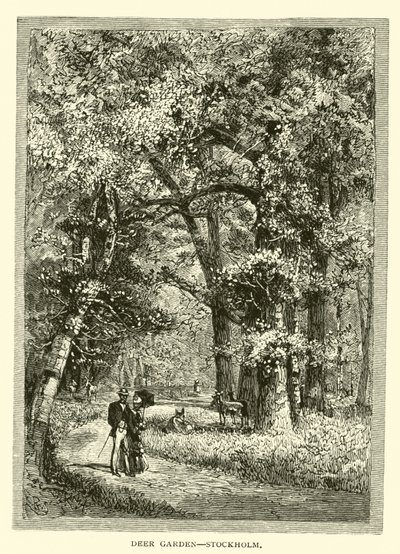 Deer Garden, Estocolmo de American School