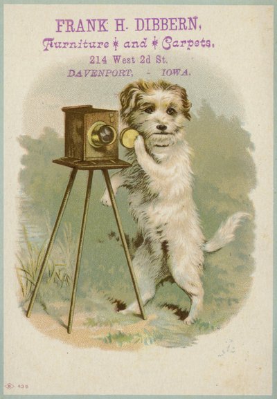 Cão com uma câmera de American School