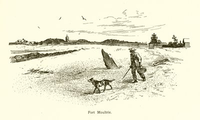 Fort Moultrie de American School