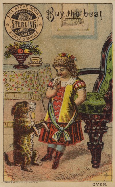 Menina, implorando, cão de American School