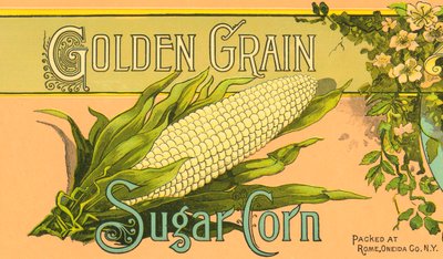 Rótulo do produto "Golden Grain Sugar Corn", c.1890 (litografia a cores) de American School