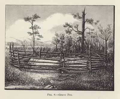 Caneta Grave de American School