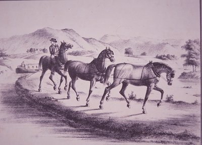 Cavalos puxando um barco no canal Erie (gravura) de American School