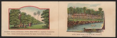 Hotel Trade Card (gravação a cores) de American School
