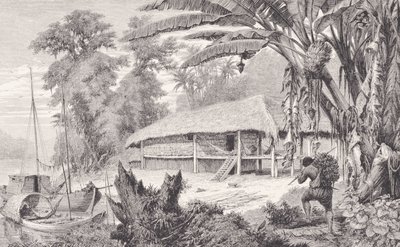 Casa de um rico colecionador de seringueiras da Índia, dos rios Amazonas e Madeira, de Franz Keller, 1874 de American School
