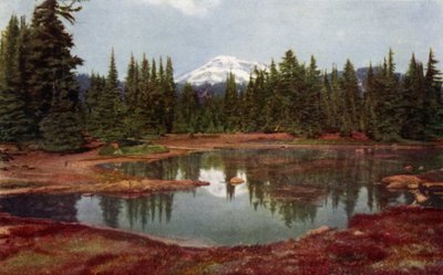 Nas montanhas do Oregon (lito colorido) de American School