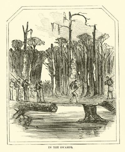Nos pântanos, março de 1863 de American School