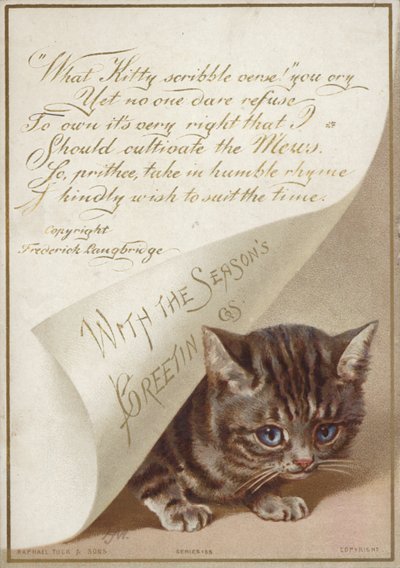 Gatinho escondido debaixo da carta de American School