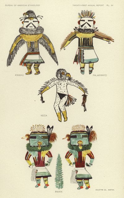 Kwahu, Palakwayo, Keca, Pawik (litografia a cores) de American School