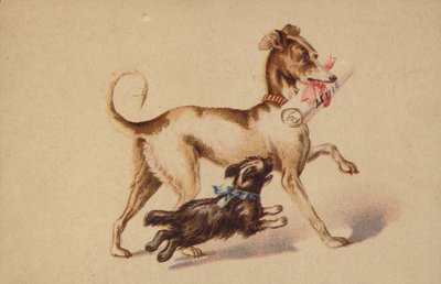 Grande e pequeno cachorro correndo de American School
