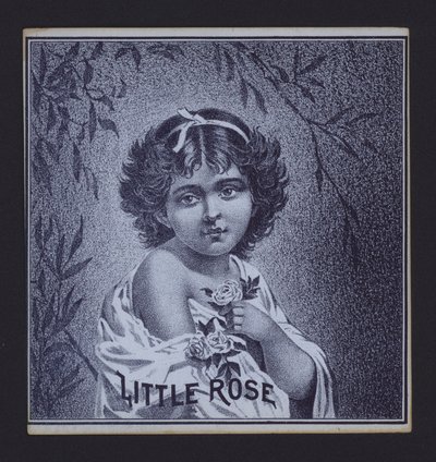 Little Rose, rótulo de charuto (litho) de American School
