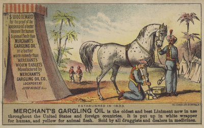 Óleo de gargarejo do comerciante de American School