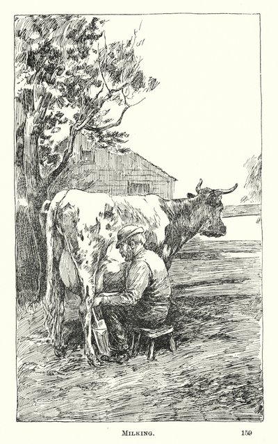 Ordenha (gravura) de American School