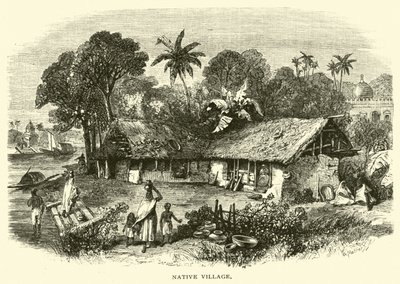 Aldeia nativa de American School