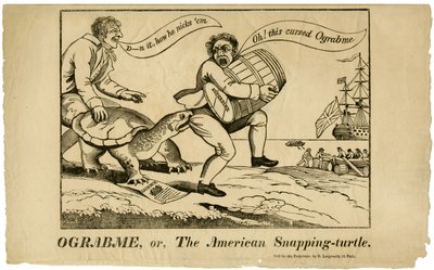 Ograbme, ou a tartaruga americana, 1808 de American School