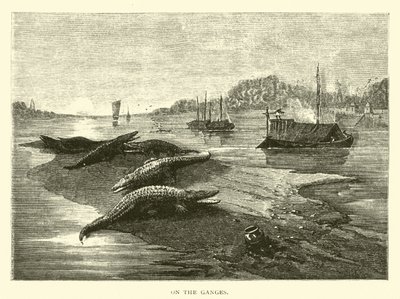 No Ganges de American School