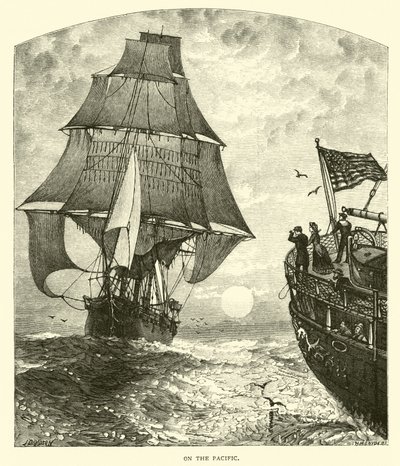 No Pacífico de American School