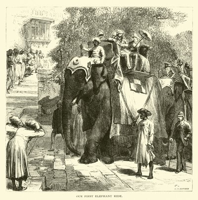 Nosso primeiro passeio de elefante de American School