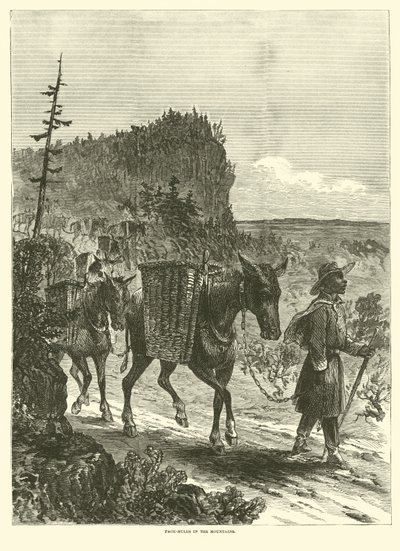 Pack-mulas nas montanhas, fevereiro de 1863 de American School