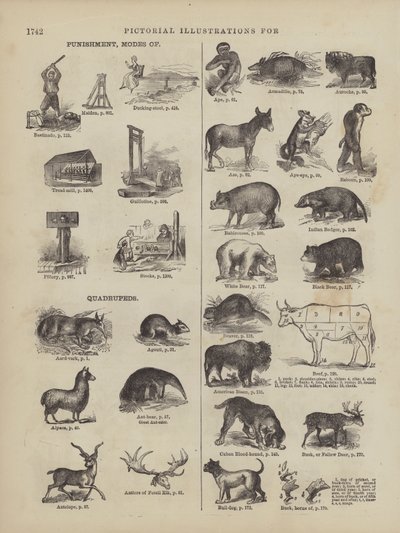 Página do Dicionário Completo de Webster (George Bell de American School