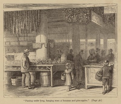 "Passando por baixo de longas filas de bananas e ananases" (gravura) de American School