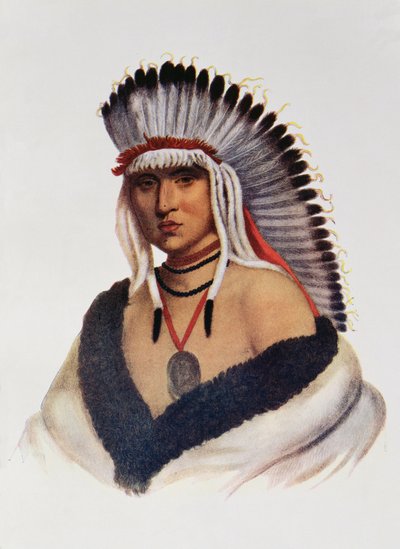 Petalesharro, um Pawnee Brave, ilustração "dos tribos indianos de America do Norte, Vol.1", por Thomas L. McKenney e por James Salão, bar. por John Grant (cor lito) de American School