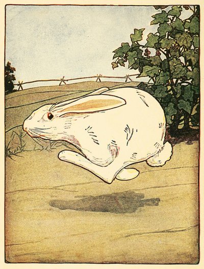 O Peter nunca deixou de fugir, do The Tale of Peter Rabbit, pub. Litografia a cores de 1916, 1916. de American School