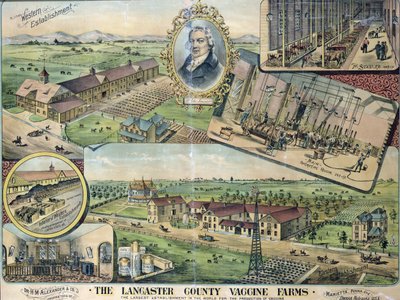 Plano das Fazendas de Vacinas do Condado de Lancaster, Nebraska de American School