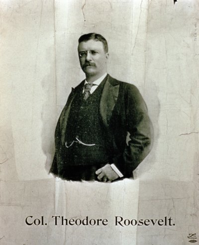 Retrato do Coronel Theodore Roosevelt de American School