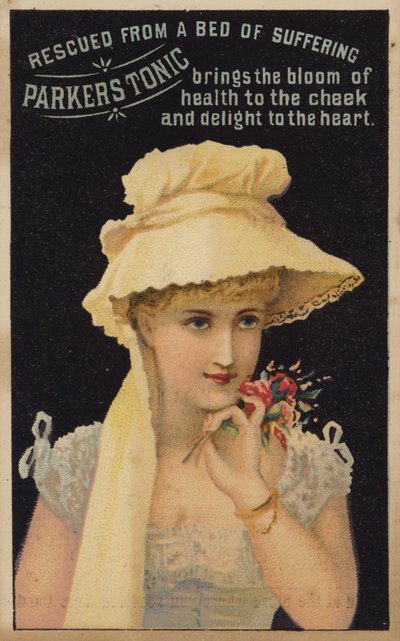 Linda senhora cheirando flores de American School