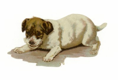 Filhote cachorro, tocando de American School