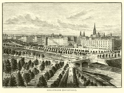 Ring Road, Boulevard de American School