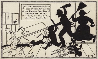 Áspero em ratos de American School