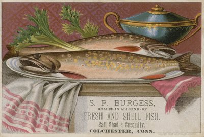 SP Burgess, cartão comercial de American School