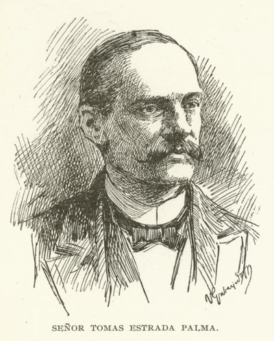 Senor Tomas Estrada Palma  de American School