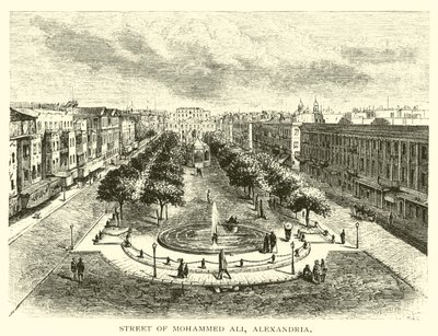 Rua de Mohammed Ali, Alexandria de American School